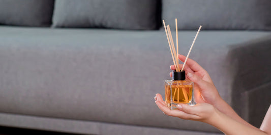 Reed Diffusers 101: How They Benefit Your Home and Well-Being
