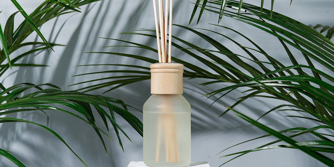 Why Reed Diffusers Are Better Than Electric Diffusers