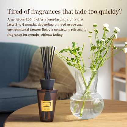 CONCENTRATION™ SCENT (250ml)