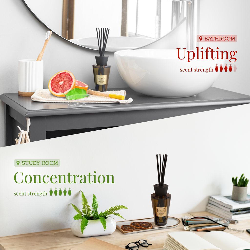 CONCENTRATION™ SCENT (250ml)